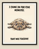 The same print shown framed with a cream mat — frame for display only, not included
