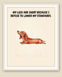 Framed display mockup — frame not included. Smug Dachshund art print.