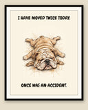 Framed display mockup — frame not included. Exhausted English Bulldog art print.