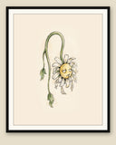 The same wordless print shown framed with a cream mat — frame for display only, not included