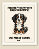 Framed display mockup — frame not included. Unbothered Bernese Mountain Dog art print.