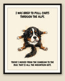 Framed display mockup — frame not included. Exhausted Bernese Mountain Dog art print.
