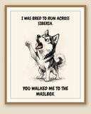 Framed display mockup — frame not included. Furious Siberian Husky art print.