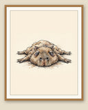 The same wordless print shown framed with a cream mat — frame for display only, not included
