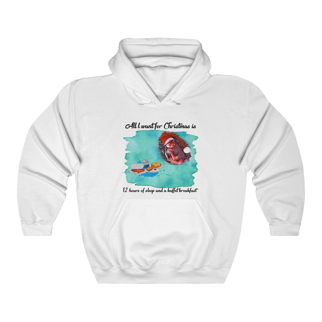 Christmas Sweatshirts | Sarcastic Cozy-chic Hoodies | Always Cold Shirt for Comfy Winter Days | Outfit Must-Have