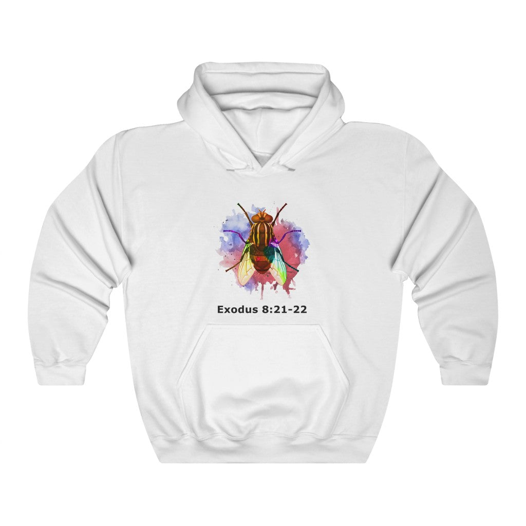 Unisex Fun-tastic Shirts | Sarcastic Cozy-chic Hoodies | Always Cold Shirt for Comfy Winter Days | Outfit Must-Have | Xmas Sweatshirts